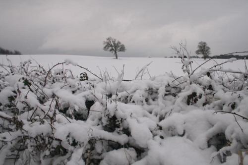Snow in Yorkshire