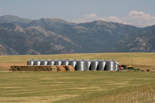 A farm east of Idaho Falls
