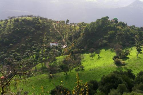 8379 Fields around Gaucin.jpg