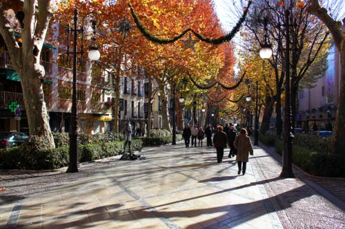 8188 Carrera del Genil Granada.jpg