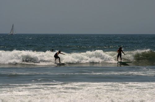 Surfing at Venice Beach, LA