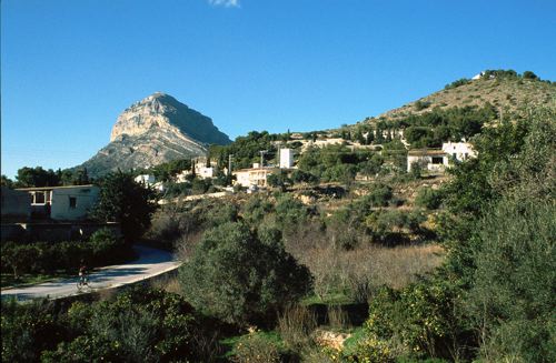 Mongo from Javea Town