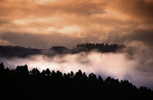 Dawn Mist at Jiri