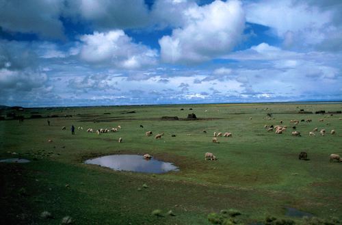 Altiplano near Puno