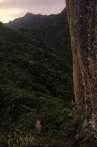 Te Rua Manga (needle)