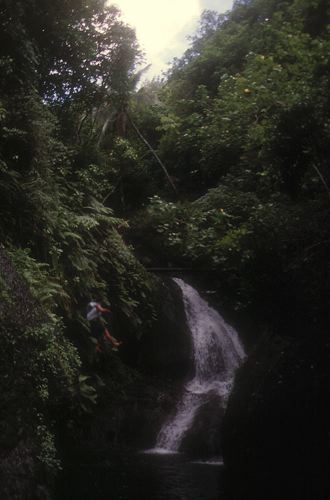 Wigmore Waterfall