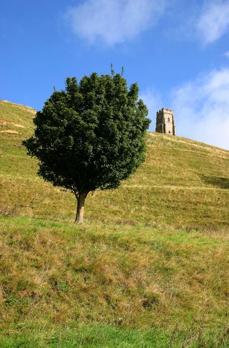 Glastonbury Tor, Somerset