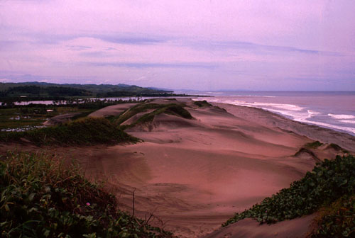 Sigatoka Sand Dunes