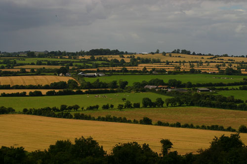 Fields of County Meath