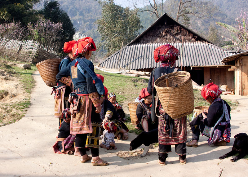 Dao - Tả Phn