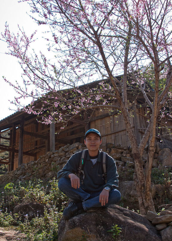 Under the Peach Tree