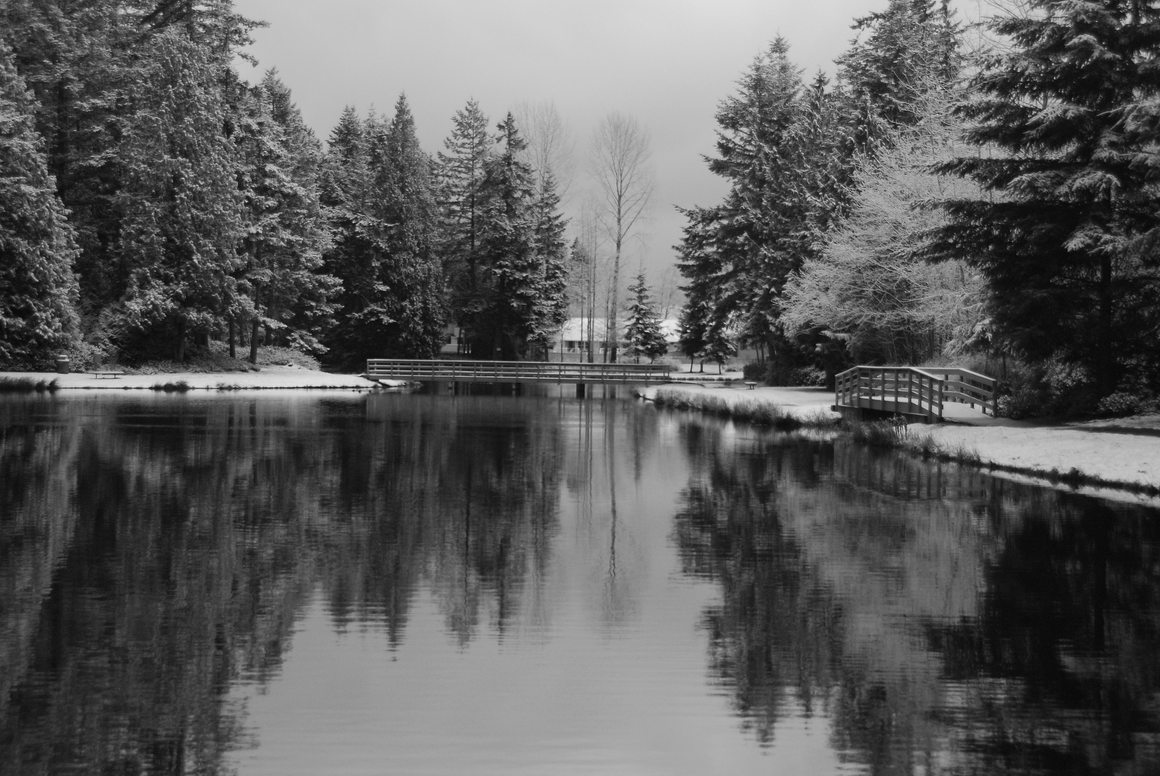 Black and white shadows........