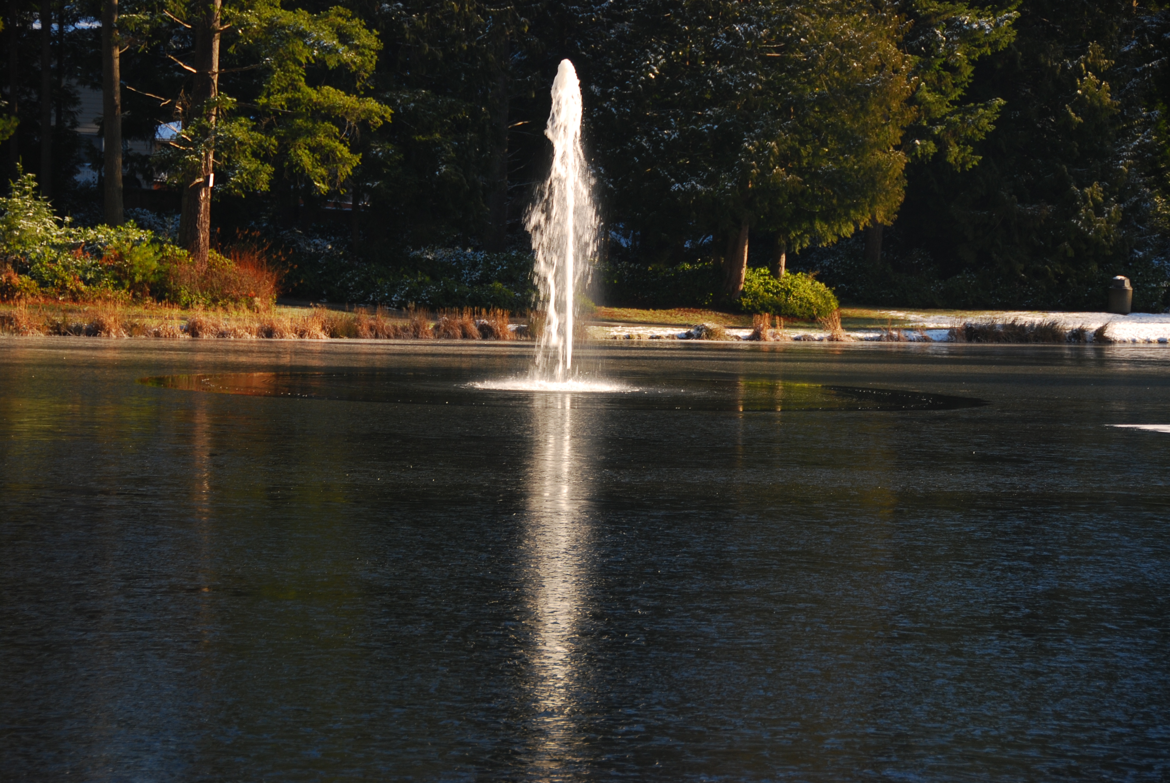 Fountain reflection on ice............