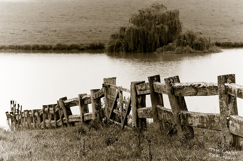 Fence Line 02/01