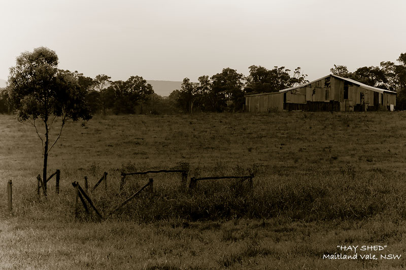 Hay Shed
