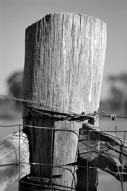 The Corner Post 02/02