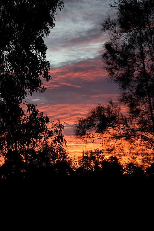 Gloaming 13/05