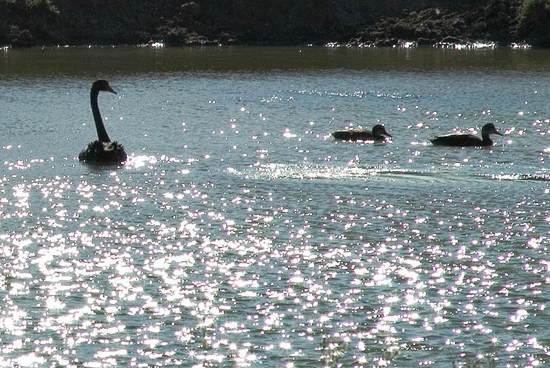 Farm Dam 22/05