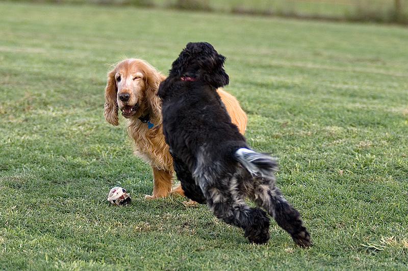 Ellie On The Attack