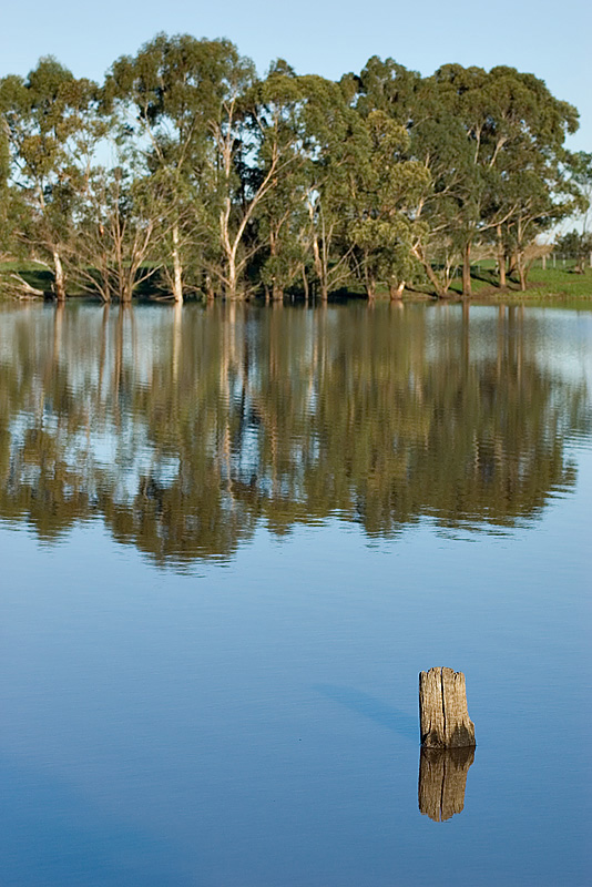 Fence Post