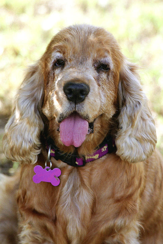 Vale Portia 04/08