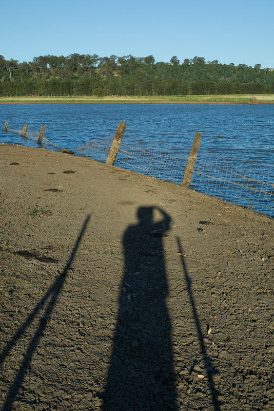 Self Portrait