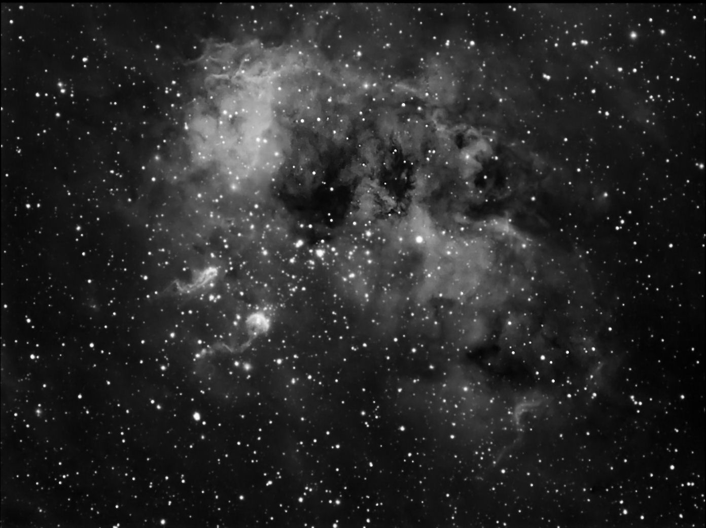 IC410  Tadpole Nebula  in Auriga