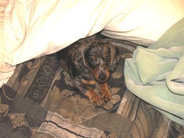 image001-smaller.jpg
