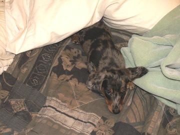 image002-smaller.jpg