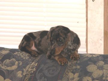 image004-smaller.jpg