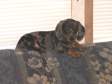 image005-smaller.jpg