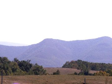 image017-smaller.jpg