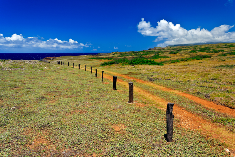 moomomi dunes 02755 