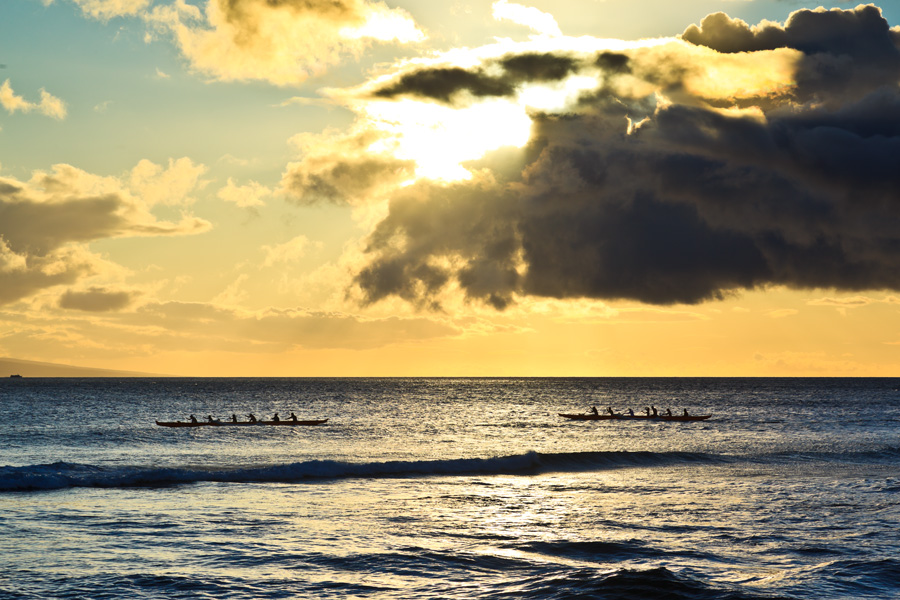 Canoe paddlers 33221.jpg