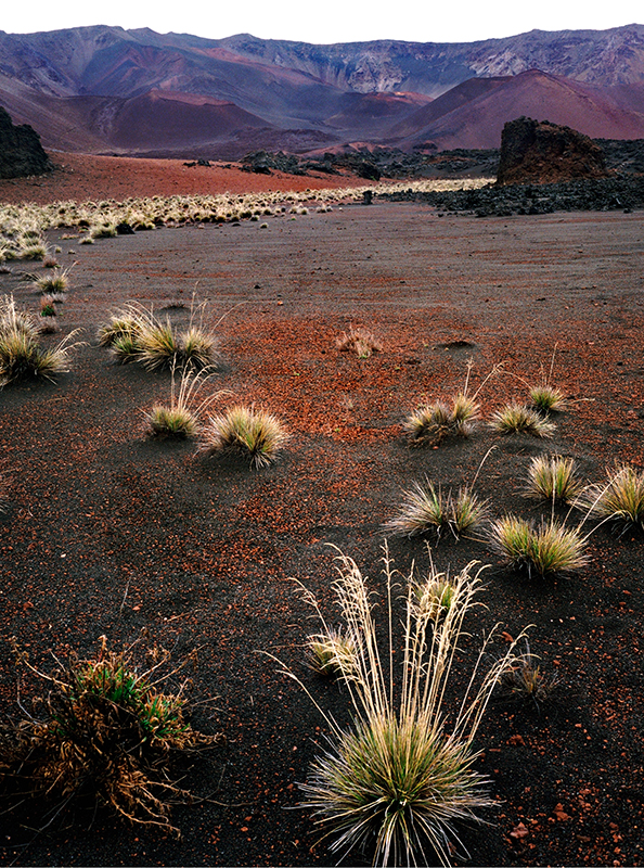 Haleakala - Red &  Black