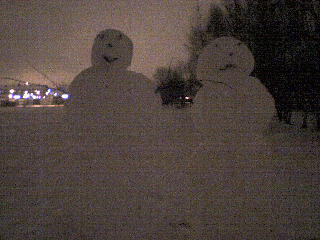 snowy couple