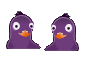 pigeons.gif