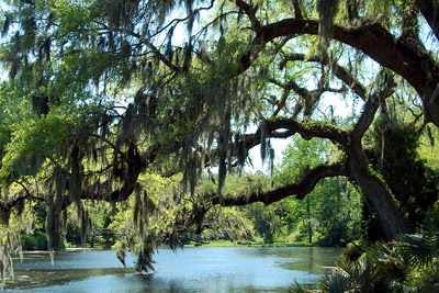 middleton place