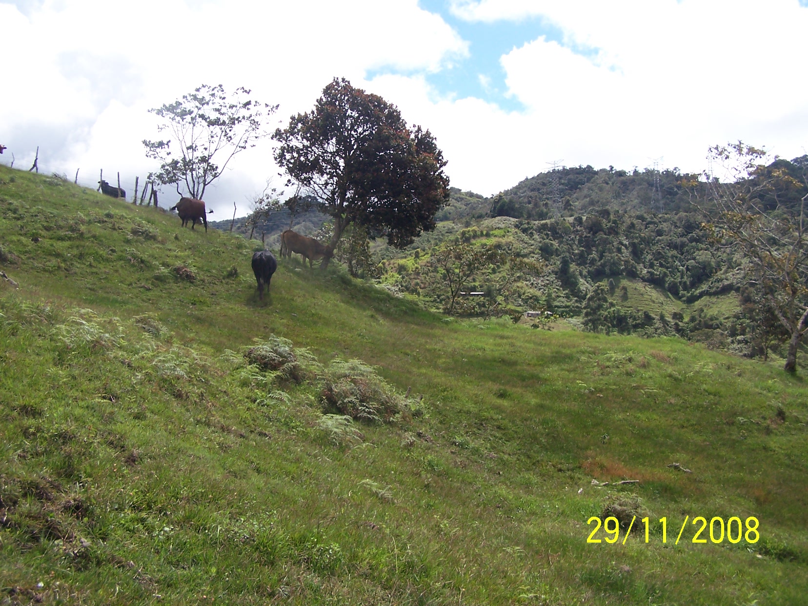 100_4979.JPG