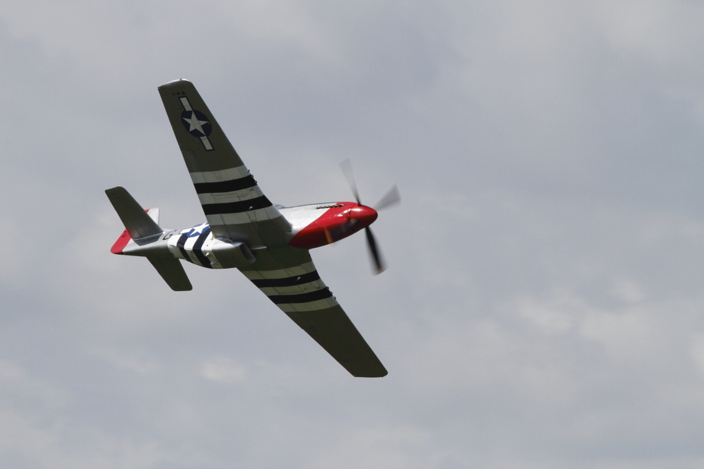 DPP_lg01147.JPG