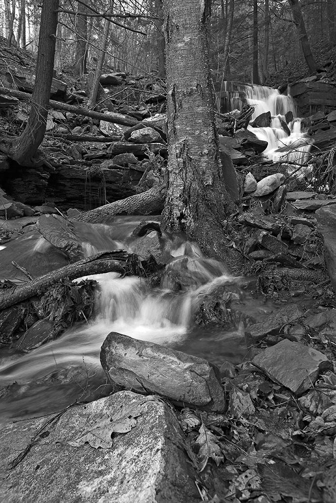 20061118-5855_DxO_raw_BW_sm.jpg