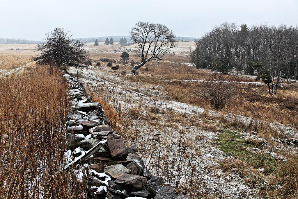 20061230-7196.jpg