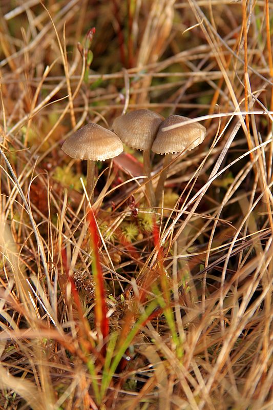 _MG_3173.jpg