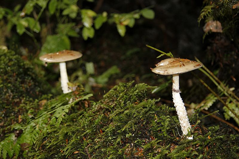 _MG_3230.jpg
