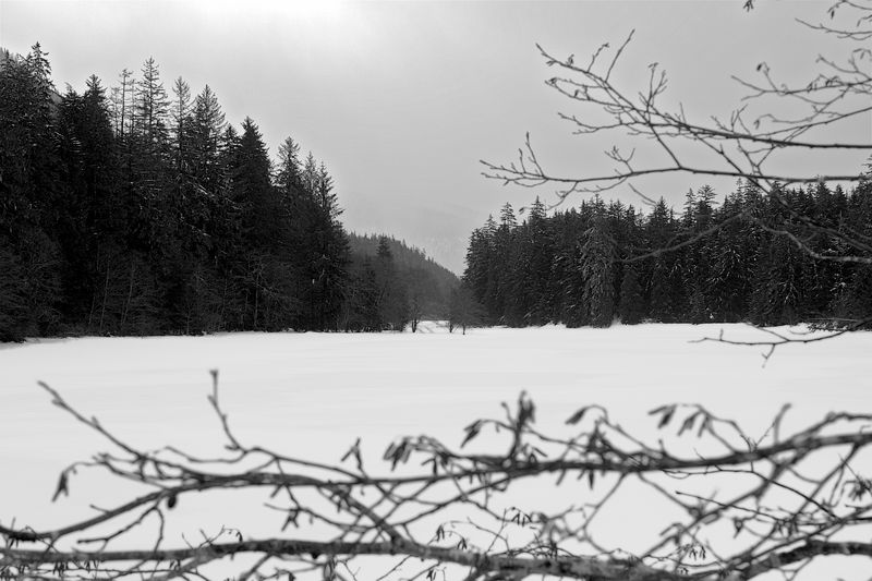 Blind River at Fish Hatchery - 4