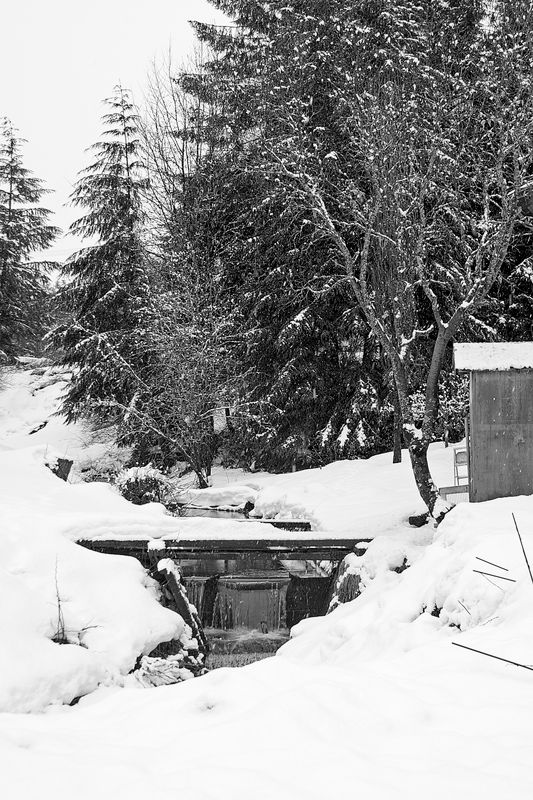 Creek - North Nordic Drive