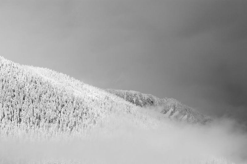 White Hillside