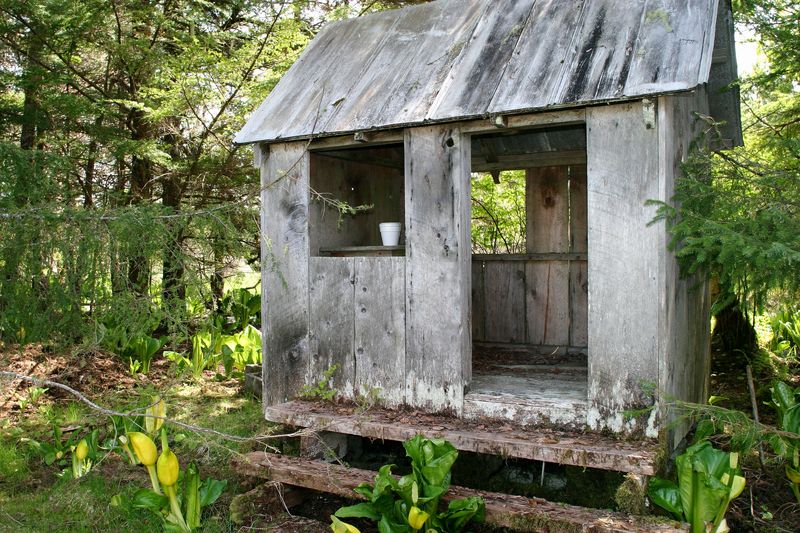 Playhouse