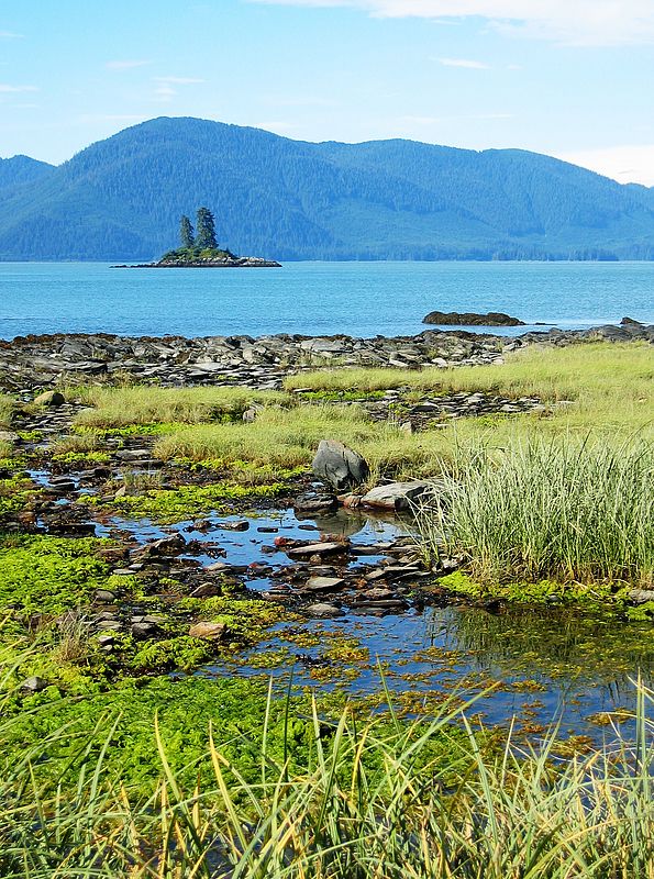 Tidal marsh - Camp Lorraine - Vank Island