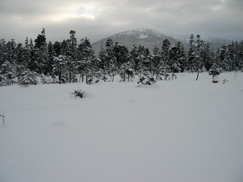 IMG_8535.jpg